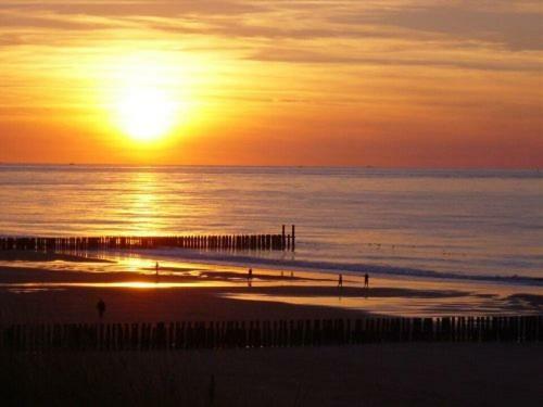 Luxe 4-Persoons Vakantiewoning Aan Zee Zoutelande Exteriör bild